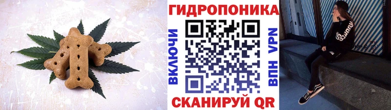 mega онион  Шебекино  Canna-Cookies конопля 