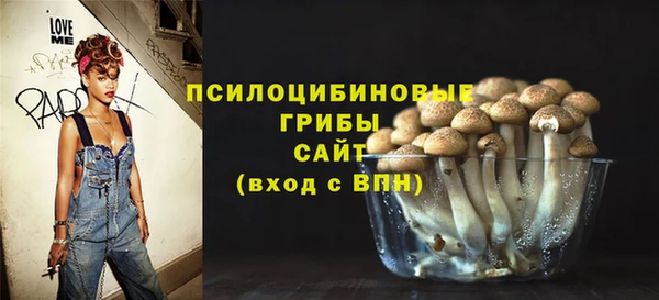 ПСИЛОЦИБИНОВЫЕ ГРИБЫ Алзамай