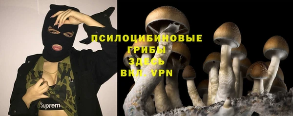 ПСИЛОЦИБИНОВЫЕ ГРИБЫ Алзамай