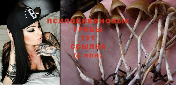 соль курить ск Алексин