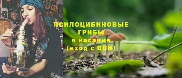 тгк Медвежьегорск