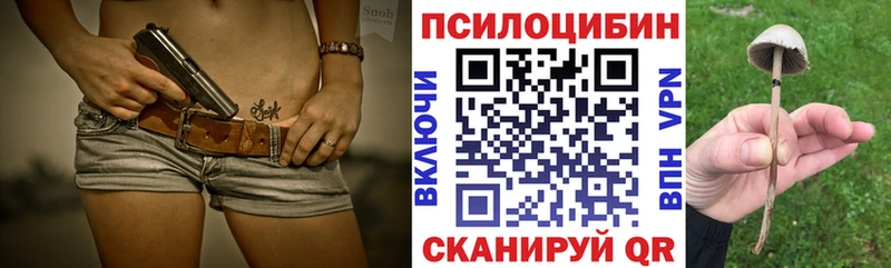 Псилоцибиновые грибы Cubensis  Шебекино 